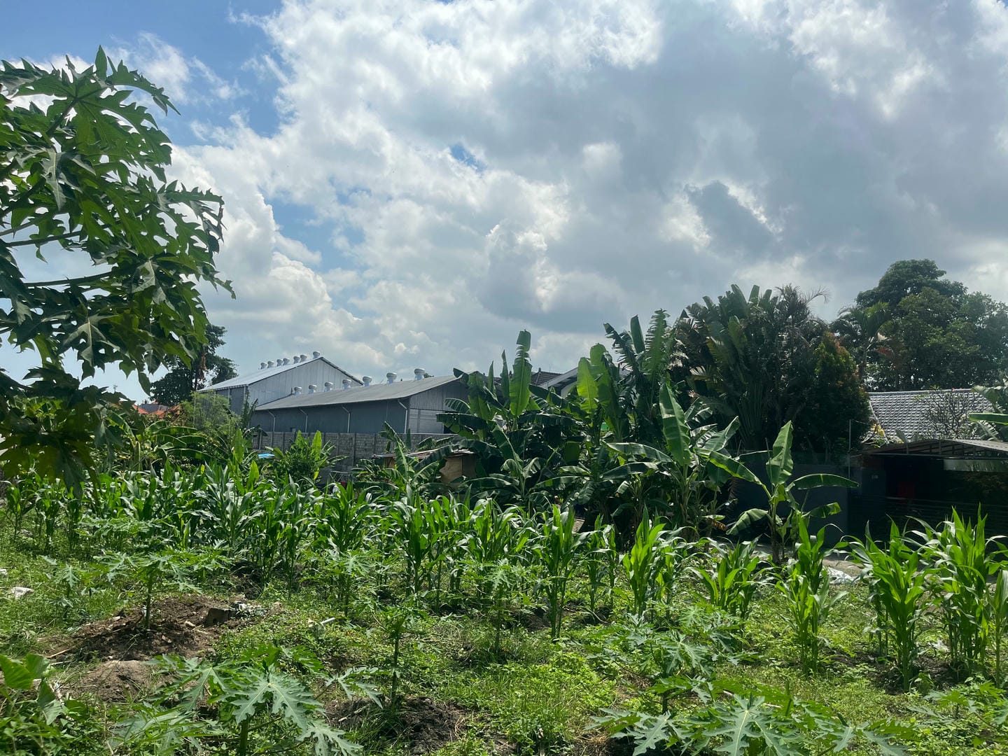 3-bedroom leasehold villa in Uluwatu — photo 4 of 5