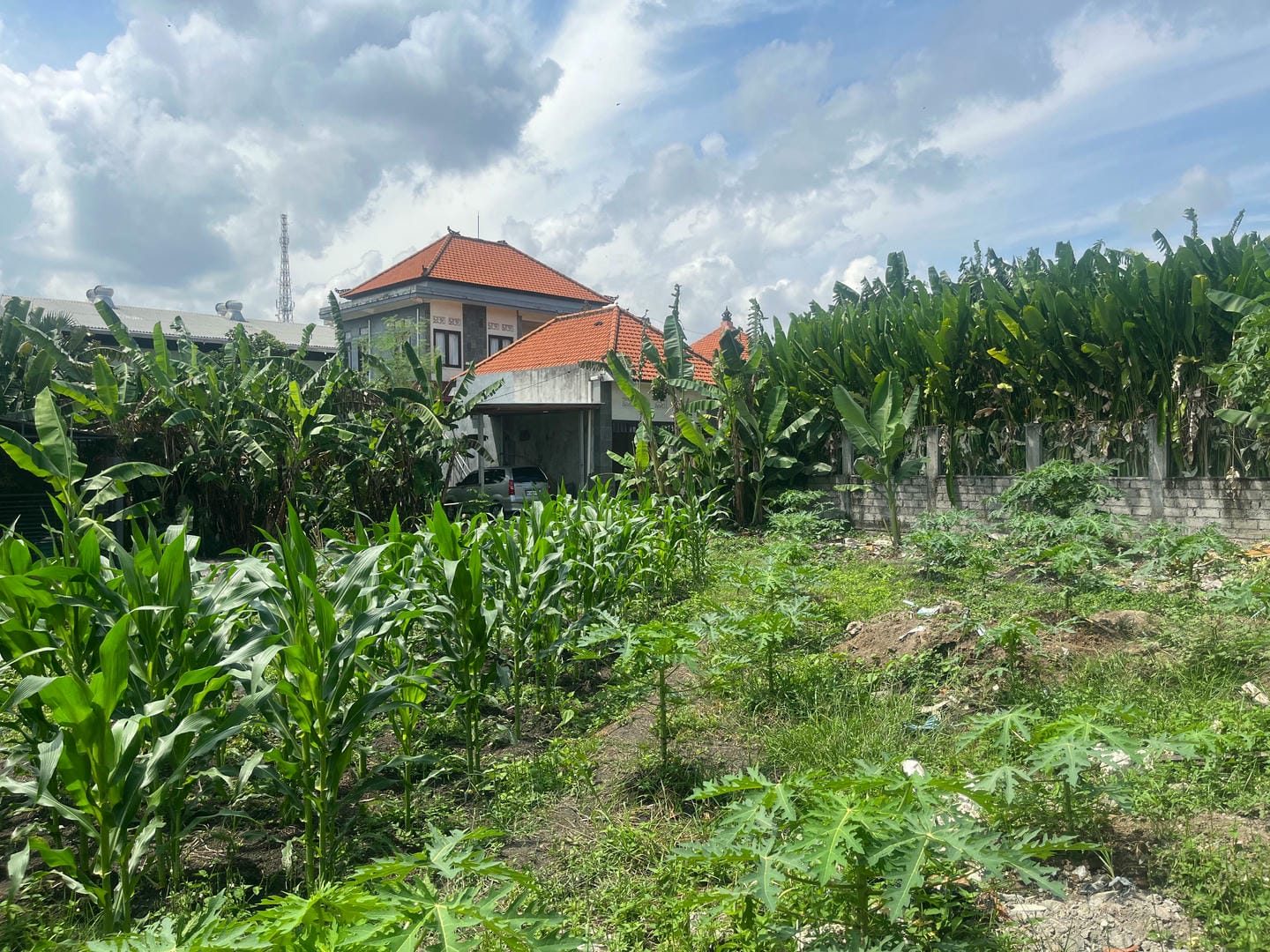 3-bedroom leasehold villa in Uluwatu — photo 3 of 5