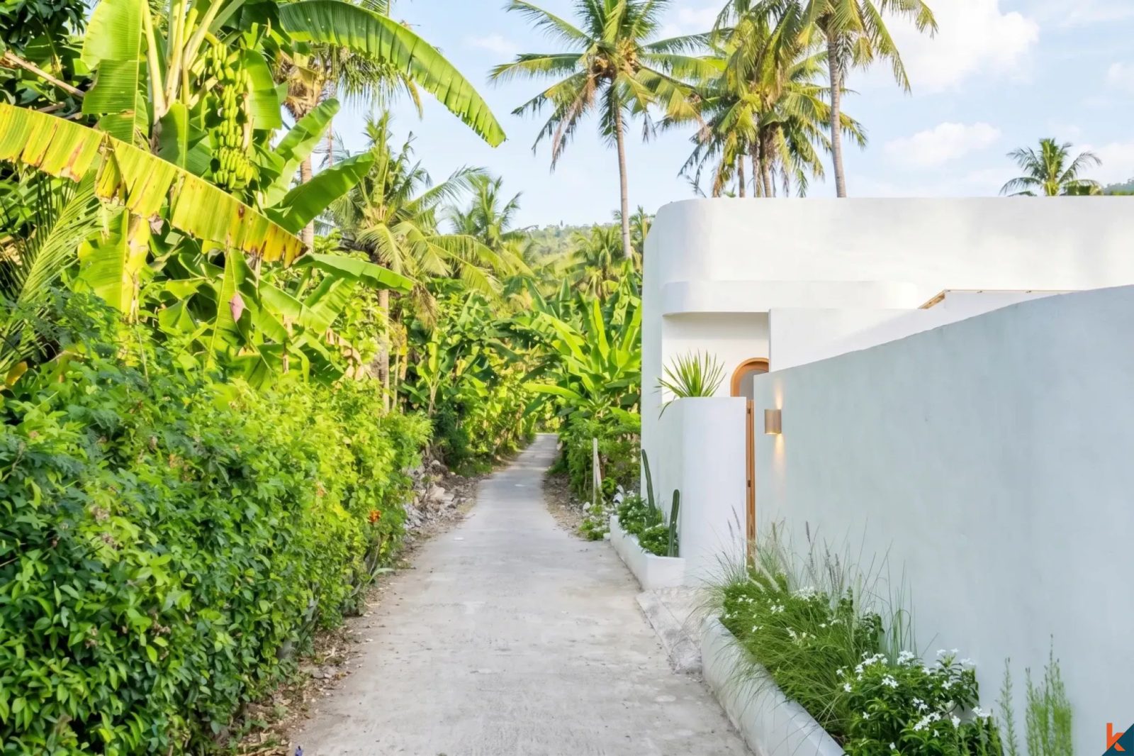 3-bedroom freehold villa in Lovina — photo 5 of 5