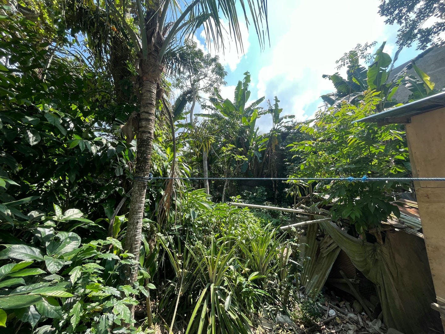 1-bedroom freehold villa in Kuta — photo 4 of 4