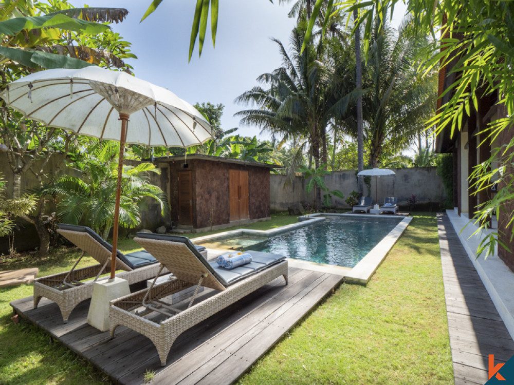 4-bedroom freehold villa in Lovina — photo 3 of 5