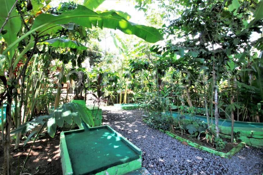 studio leasehold villa in Pererenan — photo 3 of 5