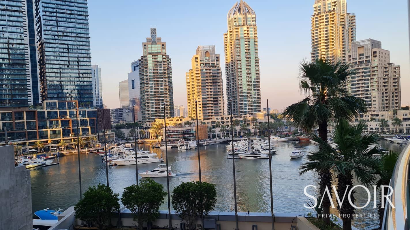 3-bedroom freehold apartment in Dubai Marina — photo 4 of 5