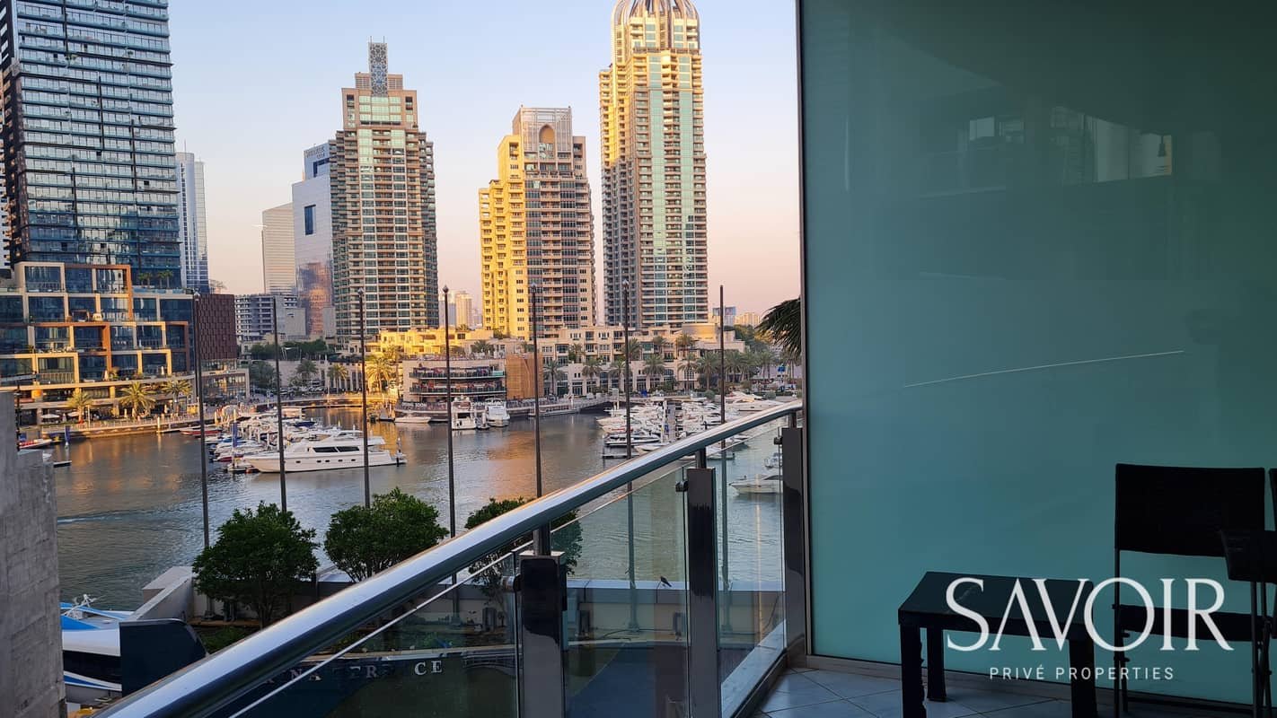 3-bedroom freehold apartment in Dubai Marina — photo 2 of 5