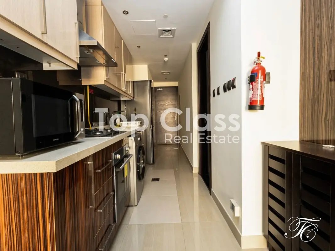 studio freehold apartment in Downtown Dubai — photo 4 of 4